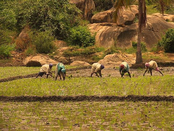 Article : Les trucs & astuces de Aachchi #3 : une pause m&eacute;ditative