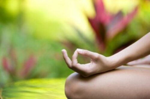 Article : Le yoga de Dharsha