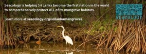 Une organisation internationale, une association locale et le gouvernement lankais s'engagent ensemble pour la protection de l'intégralité des mangroves au Sri Lanka