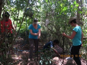 Equipe au travail, pour planter une trentaine de pieux.